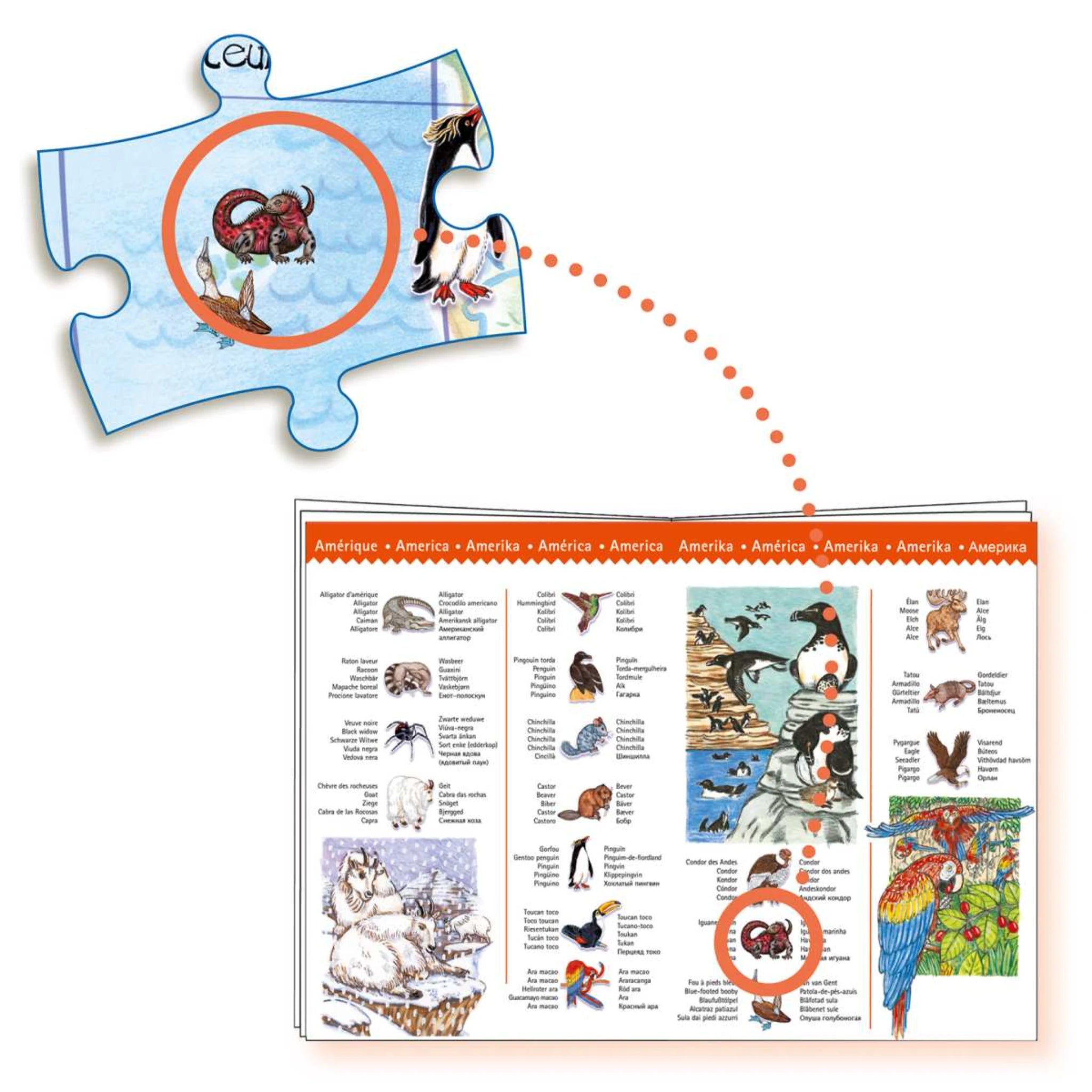Wimmelpuzzle Tier des Erde - 100 stk - Djeco