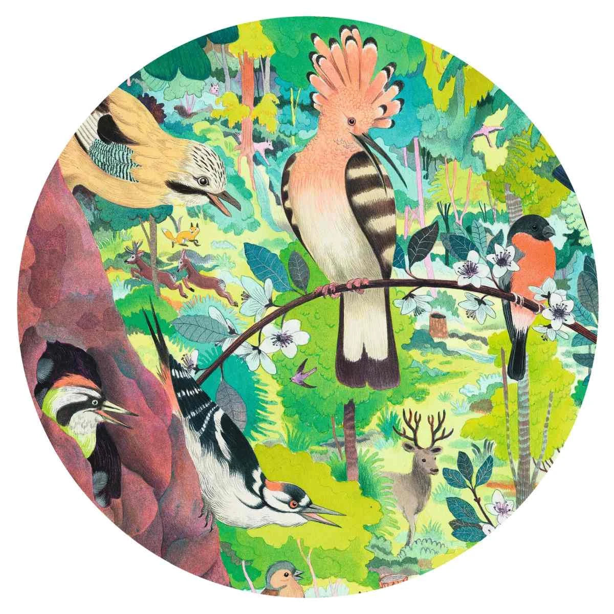 Djeco Puzzle Gallery „Owls and Birds“ – 1000 Teile Panorama-Puzzle